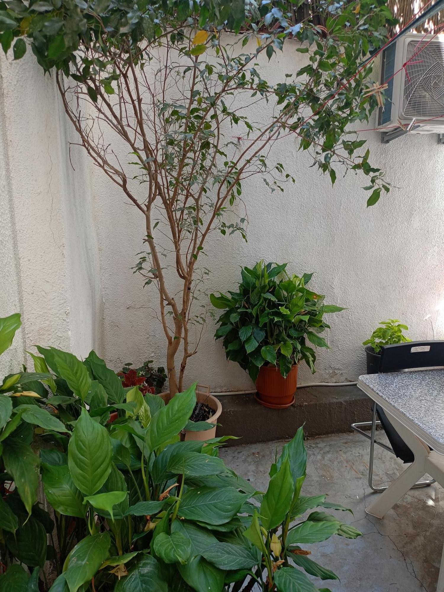 Апартаменты Katerina'S House Near Acropolis Афины Экстерьер фото